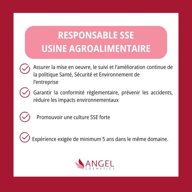 Responsable SSE