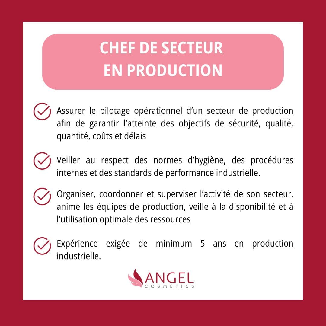 Chef de secteur en production